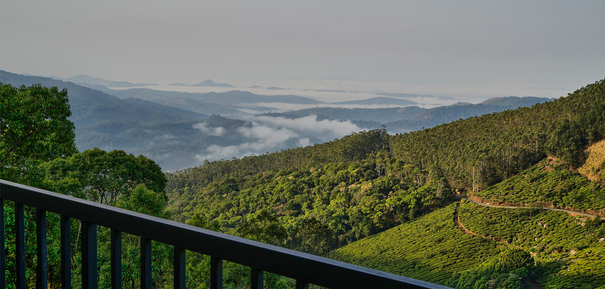 The Planet Munnar