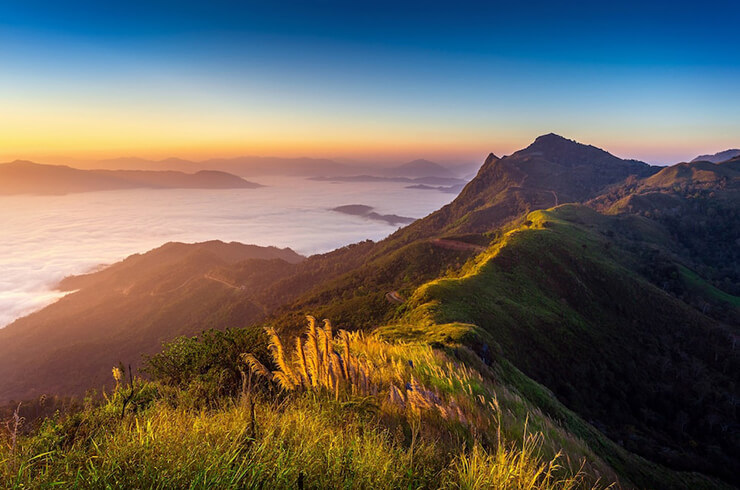The Planet Munnar