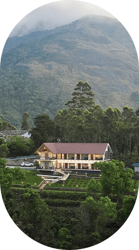 The Planet Munnar